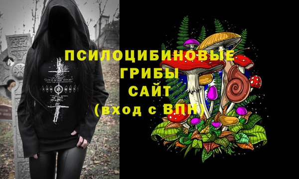 эйфоретик Зеленодольск