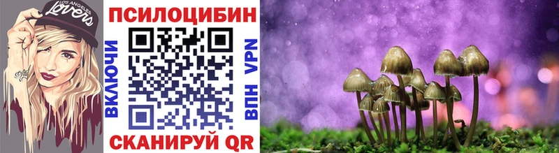Псилоцибиновые грибы ЛСД  где купить наркоту  MEGA ссылки  Задонск 